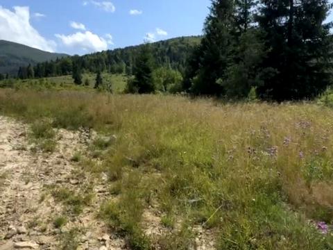 участок по адресу с. Старая Гута, 