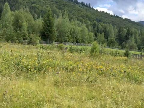 участок по адресу с. Старая Гута, 