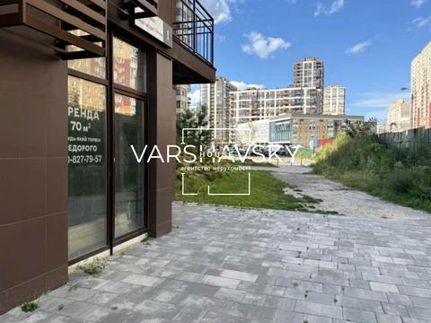 комерційна за адресою Олександра Олеся вул., 1