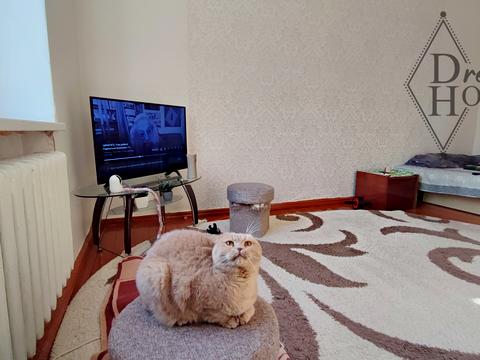 квартира по адресу Нововолынск, Винниченко ул., 4