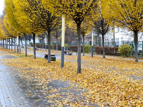 квартира по адресу Энергетиков ул., 19-А