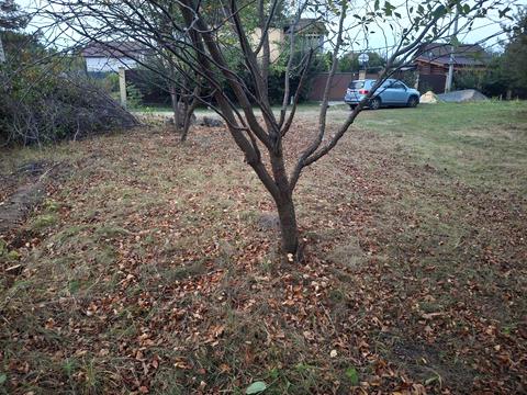 ділянка за адресою 