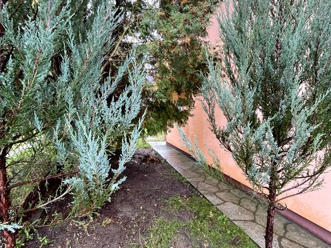 будинок за адресою с. Рясне-Руське, Лесі Українки