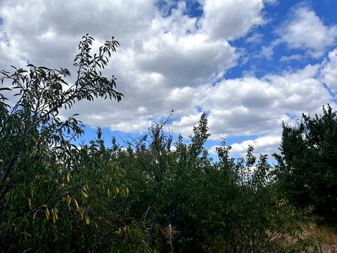 будинок за адресою набережна, 100