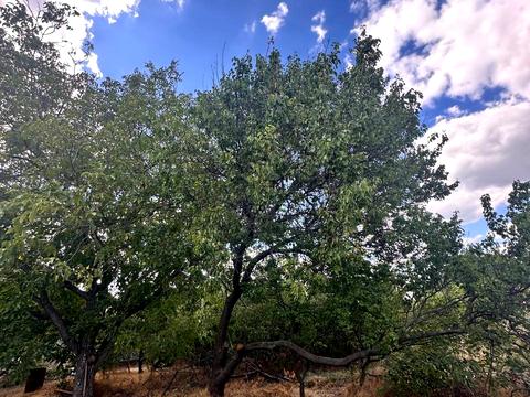 будинок за адресою набережна, 100