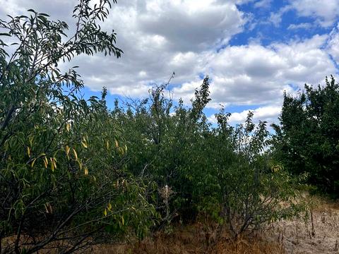 будинок за адресою набережна, 100