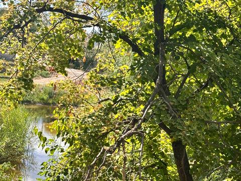 будинок за адресою набережна, 100