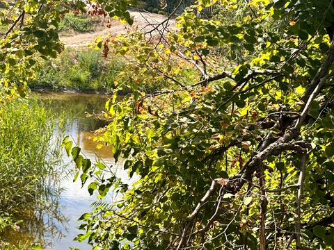 будинок за адресою набережна, 100