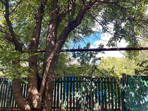 будинок за адресою набережна, 100