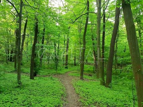 дом по адресу Квитки-Основьяненко ул., 29