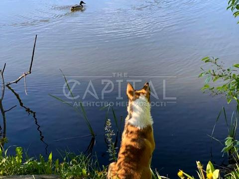 дом по адресу Квитки-Основьяненко ул., 29