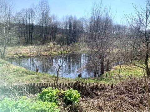 будинок за адресою с. Верхоли, Озерна