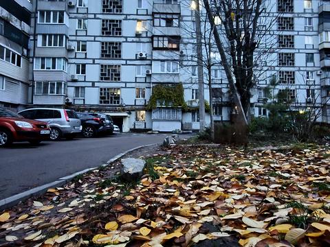 квартира по адресу Тополь-2 жилой массив ул., 10