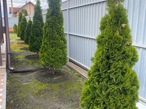 будинок за адресою Орлика вул., 7