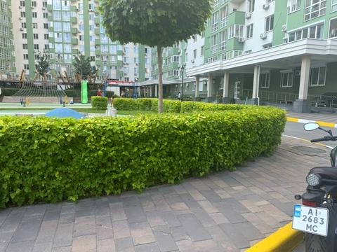 квартира по адресу Герцена ул., 35