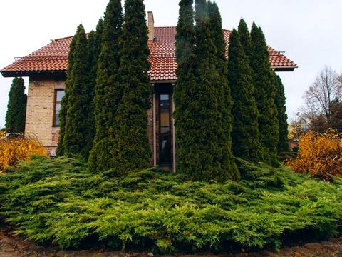 будинок за адресою Виноградний пров.