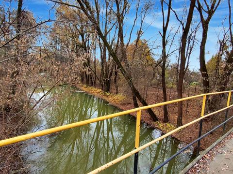 дом по адресу с. Старый белоус, Липнева