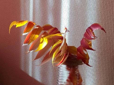 квартира за адресою Михайлівська вул., 24-А