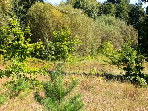 ділянка за адресою 