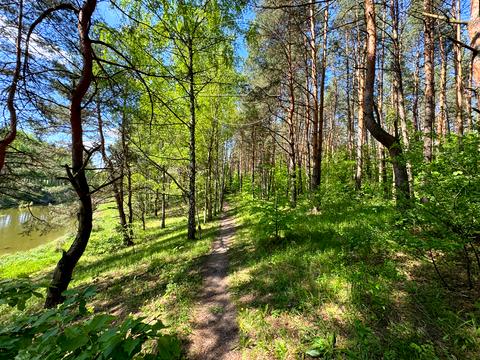 ділянка за адресою 