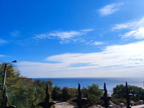 квартира по адресу Дача Ковалевского ул., 91