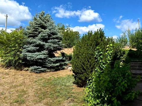 будинок за адресою Дачна вул.