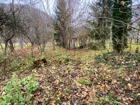 дом по адресу Зарічна, 21