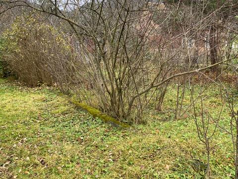 дом по адресу Зарічна, 21