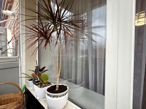 квартира за адресою Євгена Тельнова вул., 8 к5