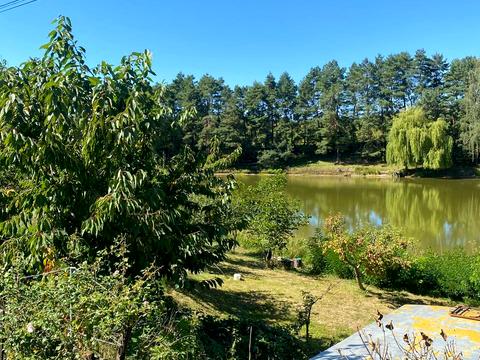 комерційна за адресою Лісова, 1