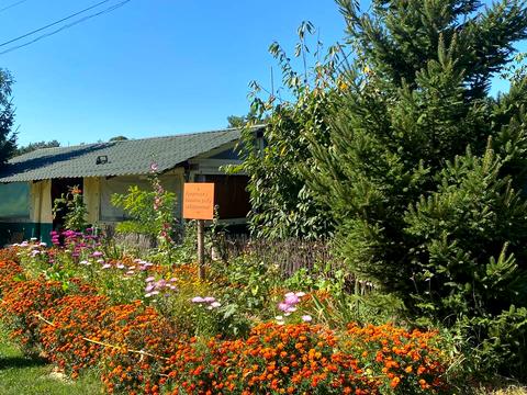 комерційна за адресою Лісова, 1