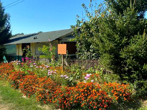 комерційна за адресою Лісова, 1