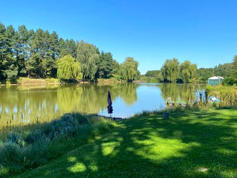 комерційна за адресою Лісова, 1