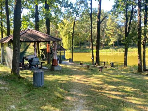 комерційна за адресою Лісова, 1