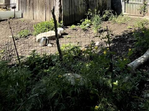 будинок за адресою Фонтанська дорога вул., 101