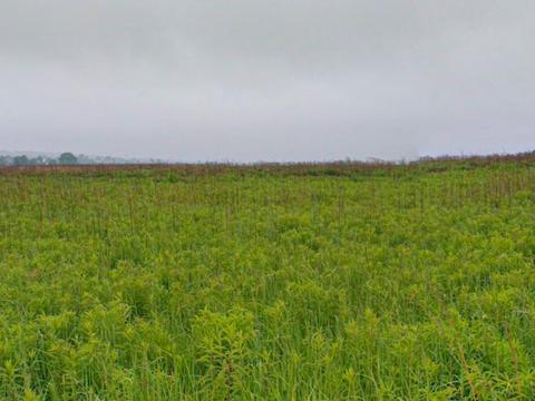 ділянка за адресою Садова вул.