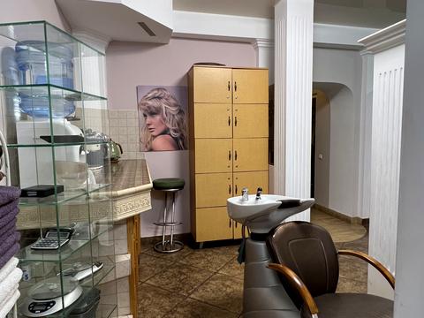 комерційна за адресою Миколи Голего вул. (Лебедєва-Кумача), 5