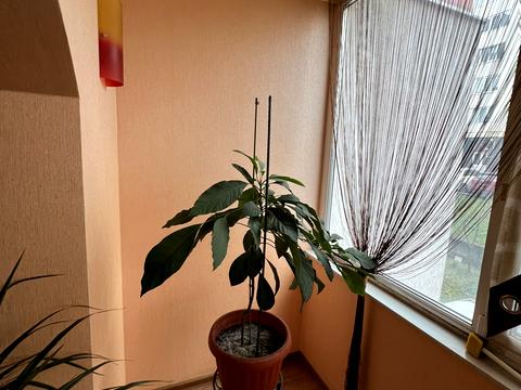 квартира по адресу Миру просп., 94б