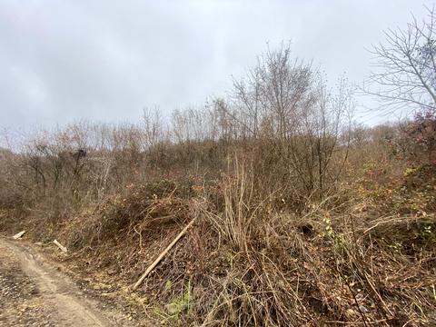 ділянка за адресою Барвінкова