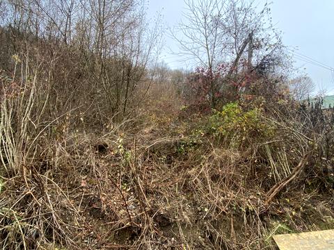 ділянка за адресою Барвінкова