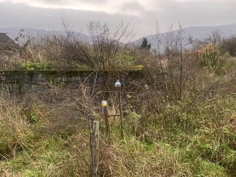 ділянка за адресою