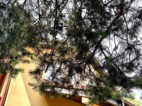 дом по адресу Хрещатик