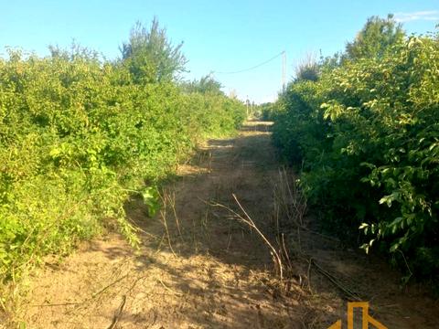 участок по адресу Корвалійська