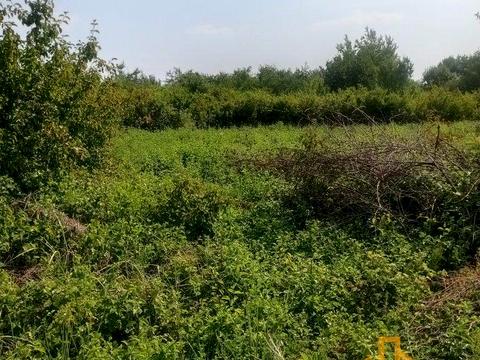 ділянка за адресою Ніредьгазська