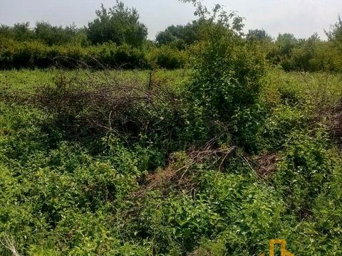 ділянка за адресою Ніредьгазська