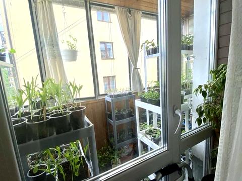 квартира за адресою Костя Левицького вул. (), 99