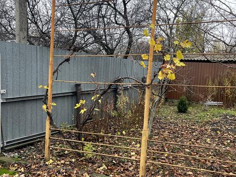 будинок за адресою Нікітіна пров.