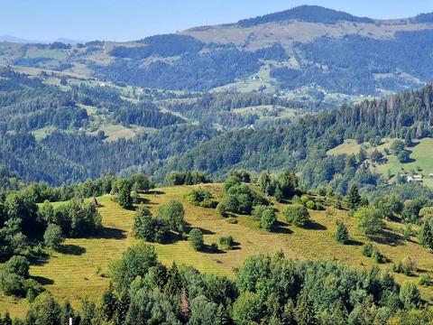 ділянка за адресою Шевченка, 3