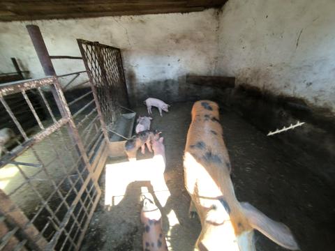 дом по адресу Новосёлов ул., 1