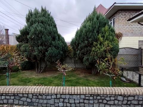 дом по адресу Руставели ул.